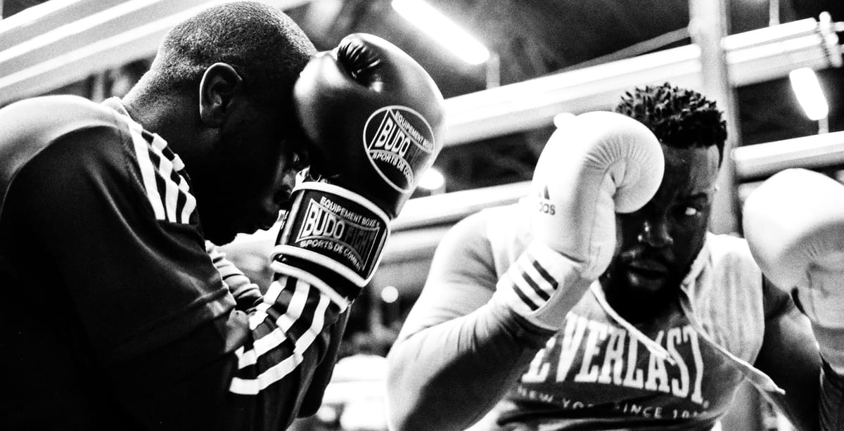 Iron Sharpens Iron - Why everyone needs sparring partners to learn how to fight